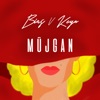 Müjgan - Single