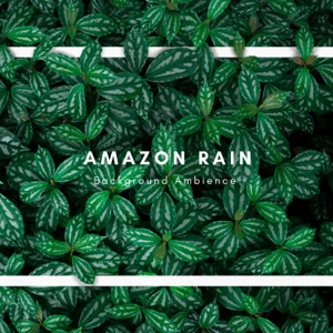 Amazon Rain Background Ambience - Single