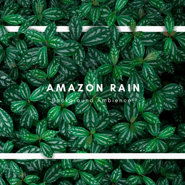Amazon Rain Background Ambience - Single