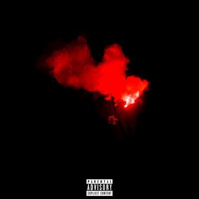 I Don't Like You (feat. Diizii) - Single