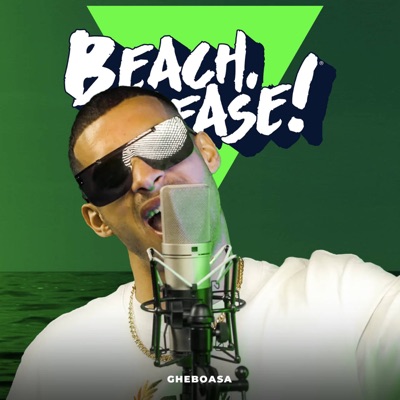 Song - DĂ-I ȚIGANCA - Gheboasa & Beach Please!