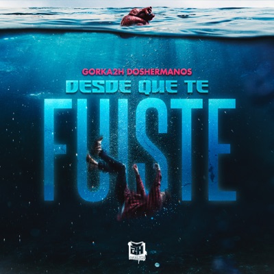 Desde Que Te Fuiste - Single