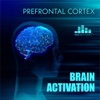 Prefrontal Cortex Brain Activation