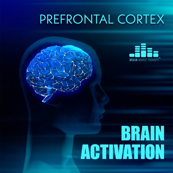 Prefrontal Cortex Brain Activation