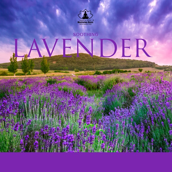 Soothing Lavender: Spa Relaxing Music 2022