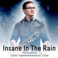 Insane in the Rain - insaneintherainmusic