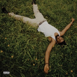 I TRIED and I MADE IT (feat. Begho) Vibesscity