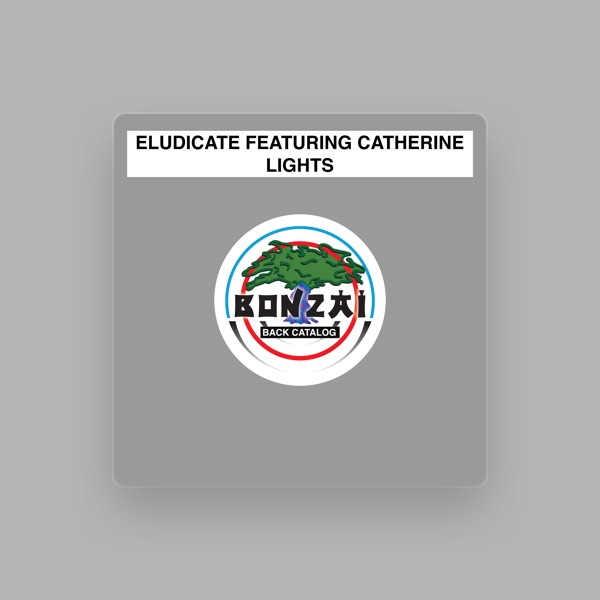 Eludicate's avatar