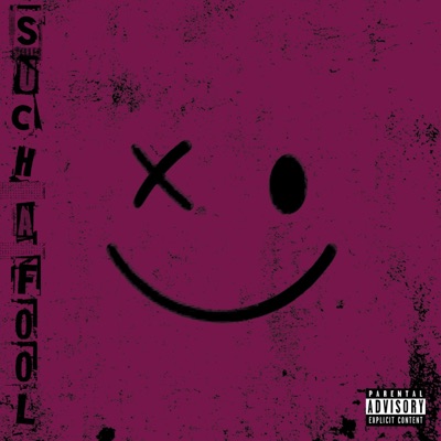 Such a Fool - Single