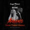 Ameno Amapiano Remix (You Wanna Bamba) [Todd Terry Remix] artwork