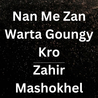 Nan Me Zan Warta Goungy Kro - Single