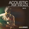 Acoustic Pop Vocals, Set 4