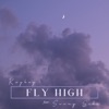 Fly High (feat. Sunny Side) - Single