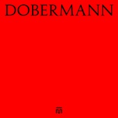 Dobermann artwork