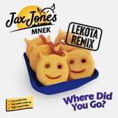 Where Did You Go? (Lekota Remix) artwork