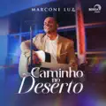 Luz