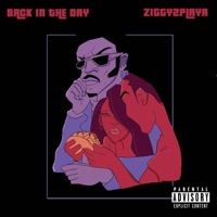 Back in the Day - Single - Ziggy2Playa