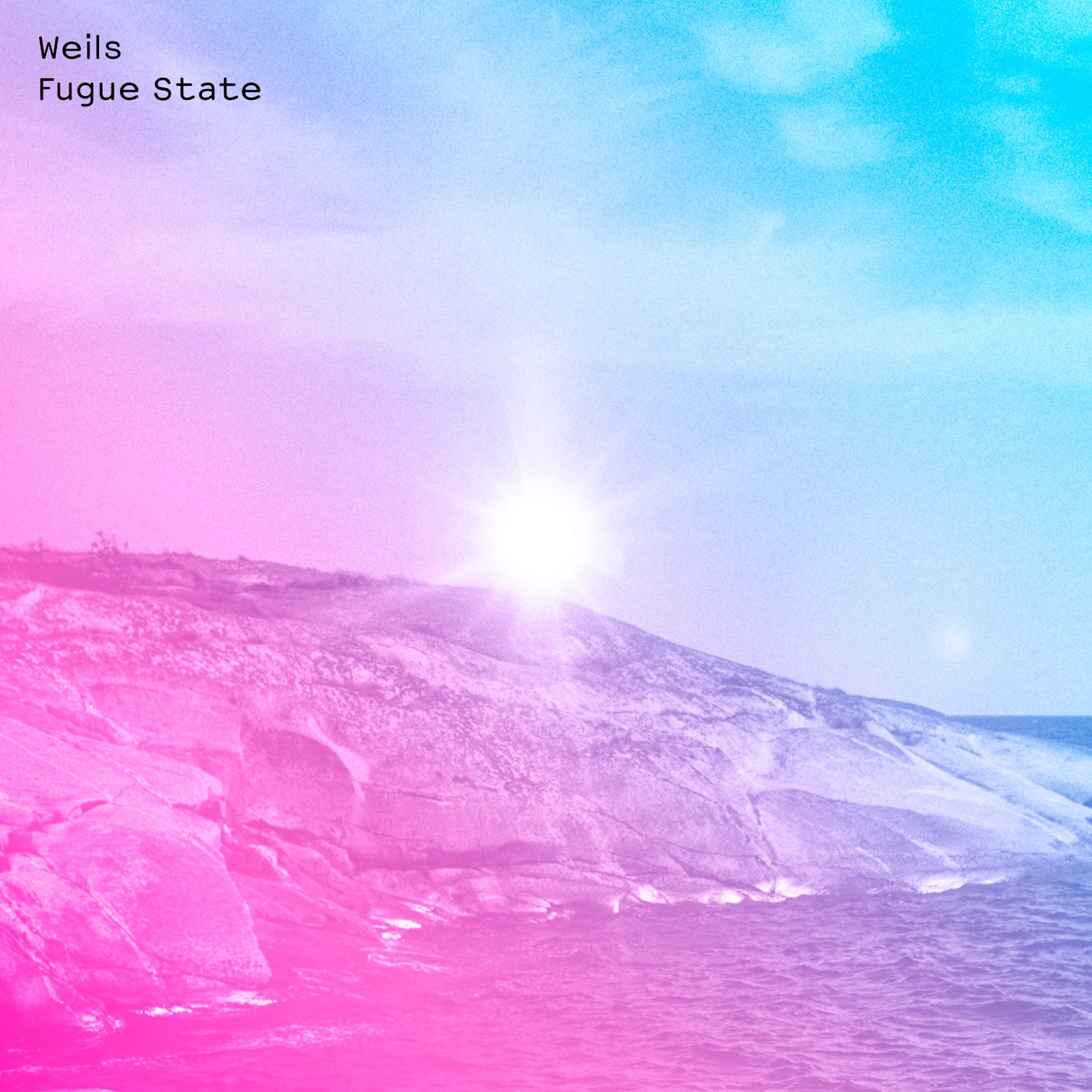 Fugue State by Weils