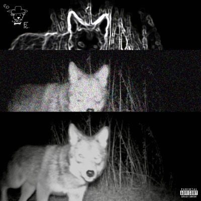 Coyot3 Pack. - Single