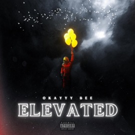 Elevated Okayyy Bee