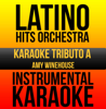 Instrumental Karaoke Series: Amy Winehouse - Latino Hits Orchestra