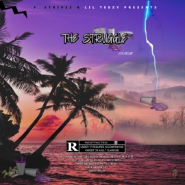The struggle (feat. Lil Teezy) F. Stripez