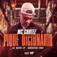 Pique Dicionário - Single - MC Cortez, DJ David LP & Gangstar Funk