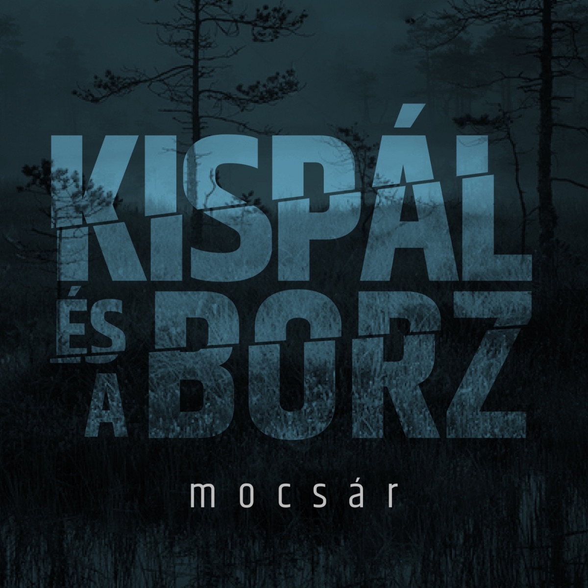 Bálnák, Ki A Partra by Kispál és a Borz on Apple Music