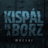 Mocsár artwork