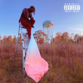 Bestfriend of My Life Damonte