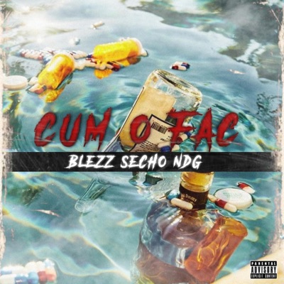 Cum o fac (feat. SECHO, BLEZZ & NDG) - Single