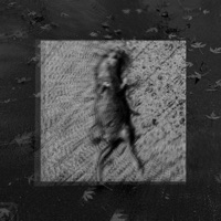 DeadBodiesFall (feat. LYSERGIK) - Single - Dye51\50