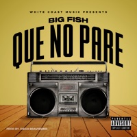 Que no pare - Single - Estarlik Big Fish & Diego bravissimo