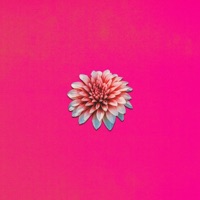 Rendezvous - Single - HUBBLE