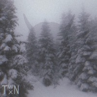 It Was Not Supposed To End Like This - Single - TWNTXN