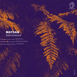 Snapdragon - Single
