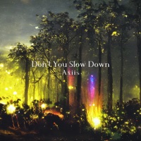Don't You Slow Down - Single - Axiis