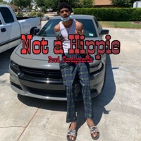Not a Hippie - Single - Scottyy