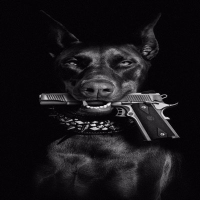 Hakan akman - Sedat Peker helal olsun