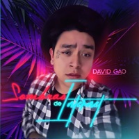 Sombras de Internet - Single - David Gao