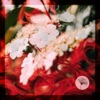 Naraiana (Derun Remix) cover art