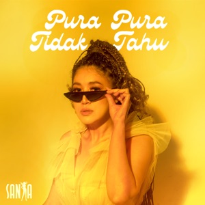 Pura Pura Tidak Tahu Album Art