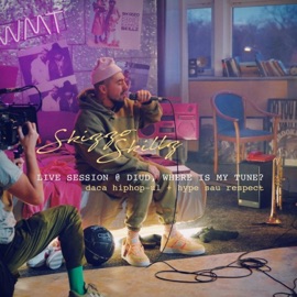 Daca Hip-Hop-ul (Live @ Diud, Where's my tune?) Skizzo Skillz