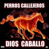 Dios caballo (feat. Perros Callejeros) artwork