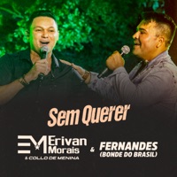 Sem Querer - Single - Erivan Morais & Collo de Menina & Bonde do Brasil
