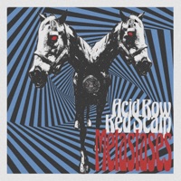 Metastases (feat. Red Scalp, El Torpedo & Fialový Samet) - EP - Acid Row