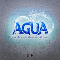 AGUA (feat. Prophex & Oscar Dominic) [Bachata Version] - Single - DJ Selphi & Bachata Gang