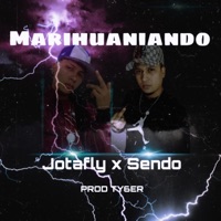 Marihuaniando (feat. Sendo) - Single - Jotafly