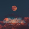 Como Ninguna (feat. JZTO) - Single