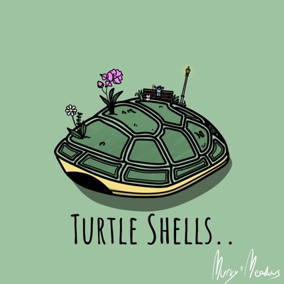 Turtle Shells - Single